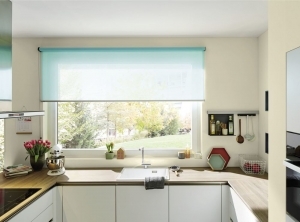   Blanco Pleon 6   521686